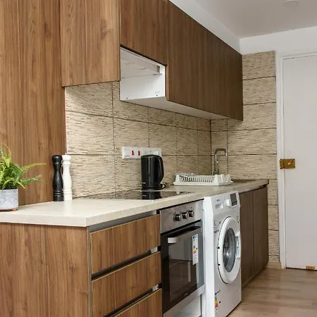 Valdivian Flat 18 アパート *