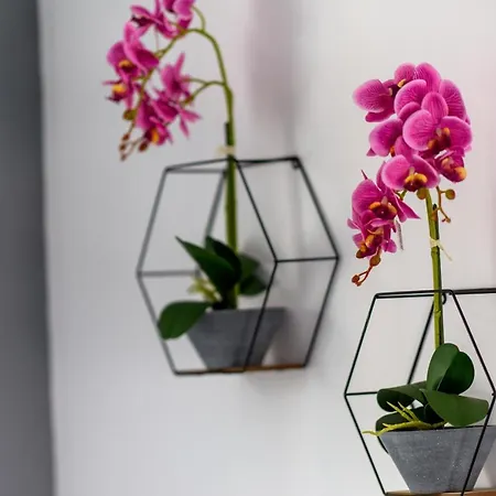 Valdivian Flat 18 アパート ラルナカ