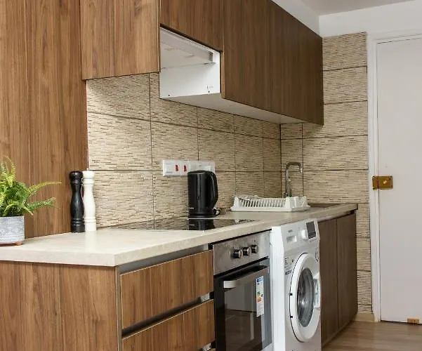 Valdivian Flat 18 Διαμέρισμα *