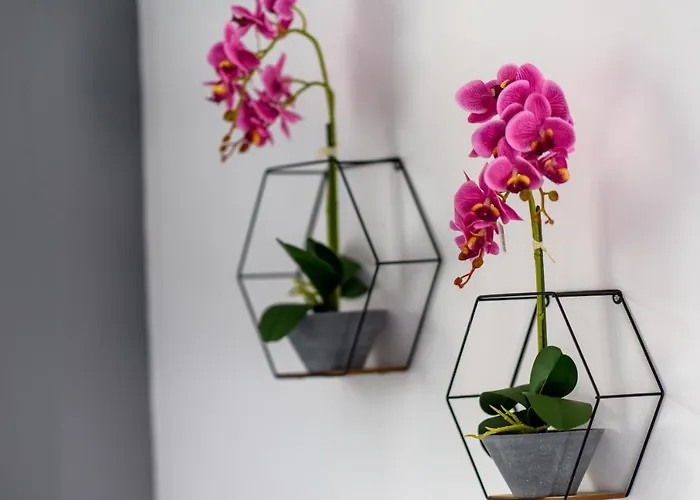 Valdivian Flat 18 Lägenhet Larnaca